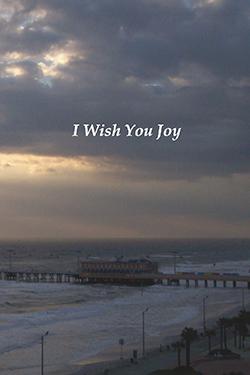 I Wish You Joy photography book by Sherry Rentschler